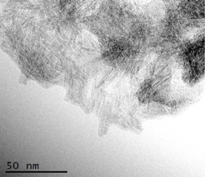 TEM image of BNNT